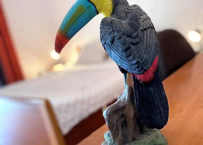 On The 公寓 罗维尼